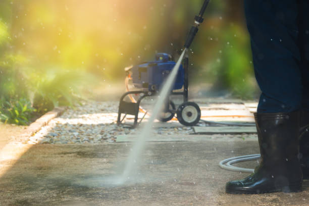 Animal Enclosure Cleaning in Garden Ridge, TX